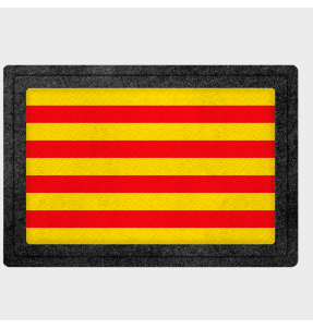 Parche bandera Catalunya