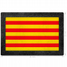 Parche bandera Catalunya