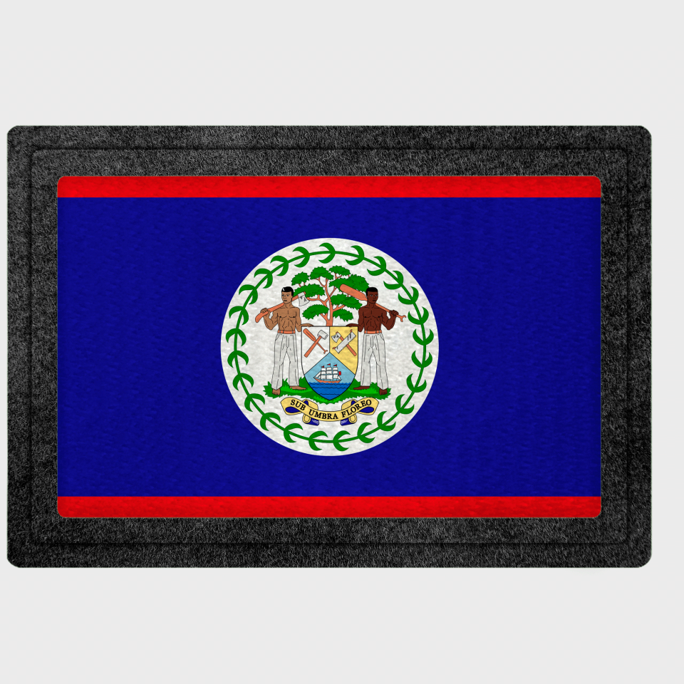 Parche bandera Belice