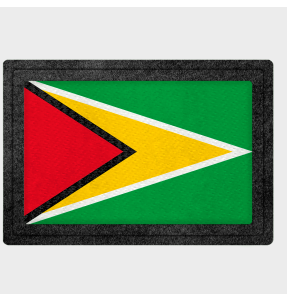 Parche bandera Guyana