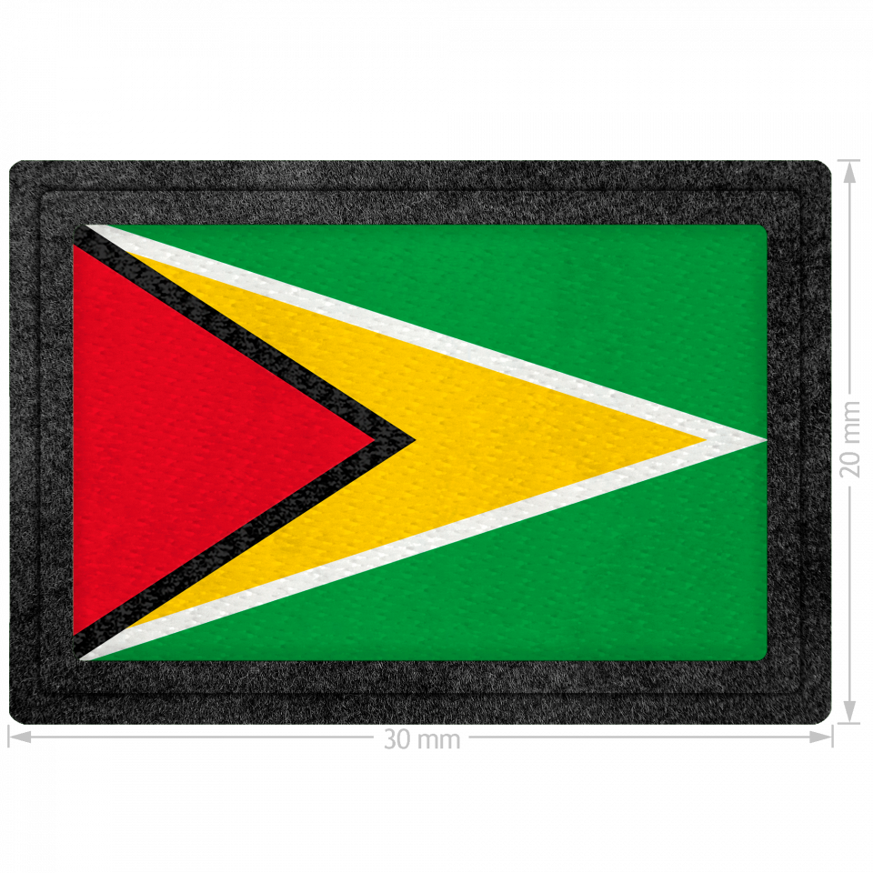 Parche bandera Guyana