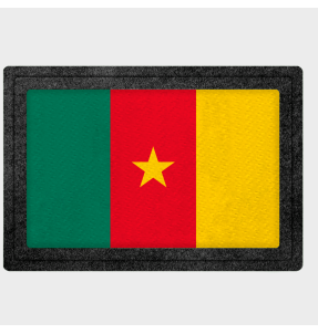 Parche bandera Camerún