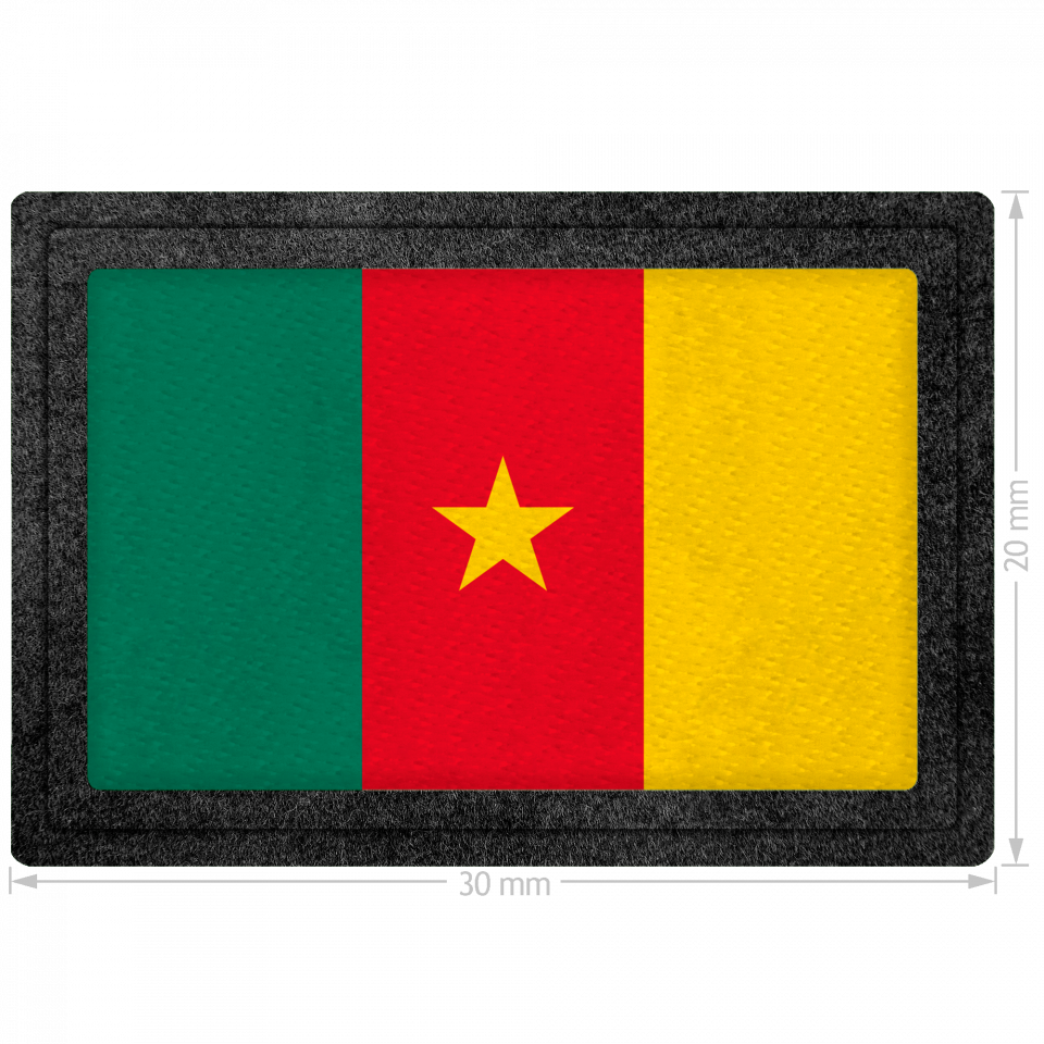 Parche bandera Camerún