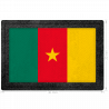 Parche bandera Camerún