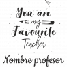 Camiseta para profesor: You are my favourite teacher