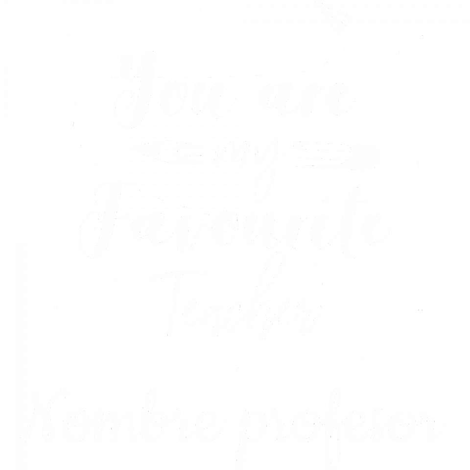 Camiseta para profesor: You are my favourite teacher