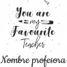 Camiseta para profesora:  You are my favourite teacher
