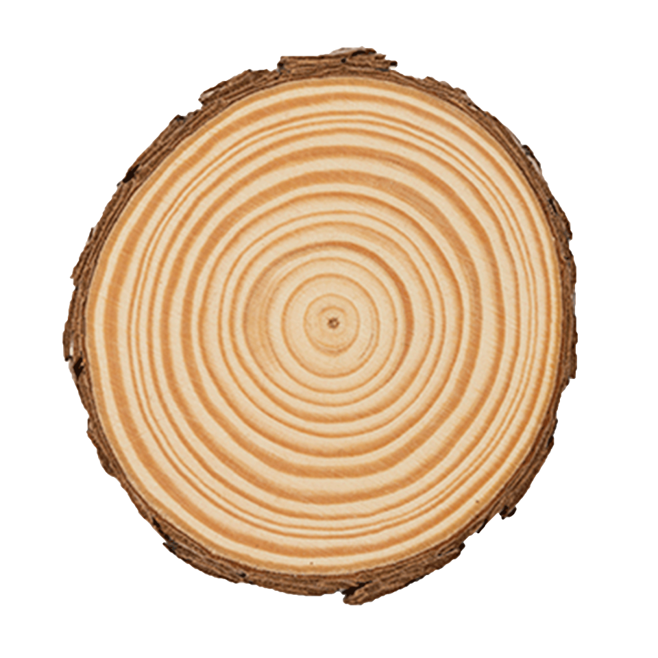 Set de 4 posavasos PINEA personalizado