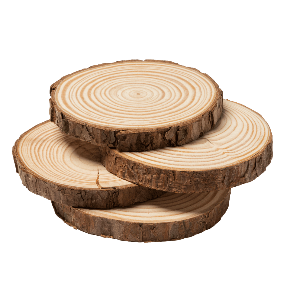 Set de 4 posavasos PINEA personalizado