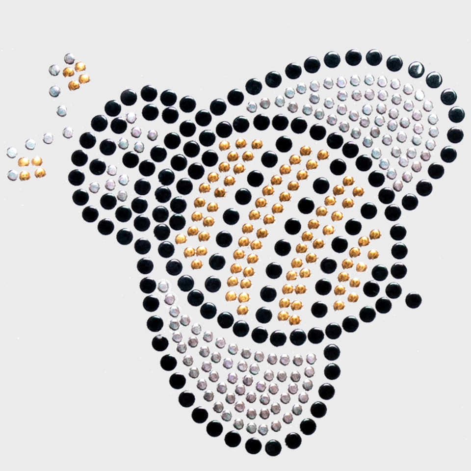 Parche termoadhesivo de brillantes para ropa diseño Abeja