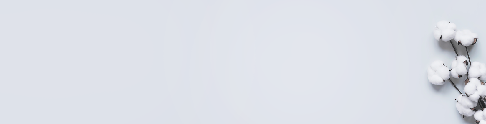 Algodón orgánico Slide background